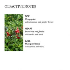 MOLTON BROWN Jubilant Pine & Patchouli Body Lotion Limited Edition 300 Ml -Kosmetikgeschäft 1377876 MOLTON BROWN Jubilant Pine Patchouli Body Lotion Limited Edition 300 ml.21588478