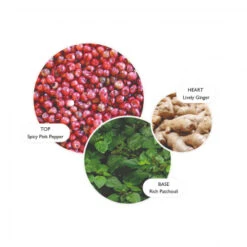 MOLTON BROWN Fiery Pink Pepper Travel Gift Set -Kosmetikgeschäft 1469428 MOLTON BROWN Fiery Pink Pepper Travel Gift Set.631b80d9