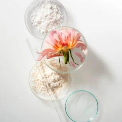 NOBLE PANACEA THE ELEMENTAL Cleansing Balm And Exfoliating Refiner Refill Pro Packung 30 Stück -Kosmetikgeschäft 2580667 NOBLE PANACEA THE ELEMENTAL Cleansing Balm and Exfoliating Refiner Refill Pro Packung 30 St.2ccbb147